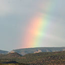 AZ Rainbow